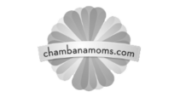 chambana moms gray